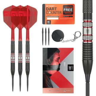 Gabriel Clemens 95K darts
