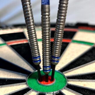 Gary Anderson World Champion Phase 5